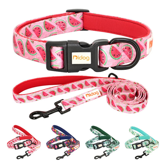 Nylon Halsbandset – Verstellbares Halsbandset für Hunde und Katzen