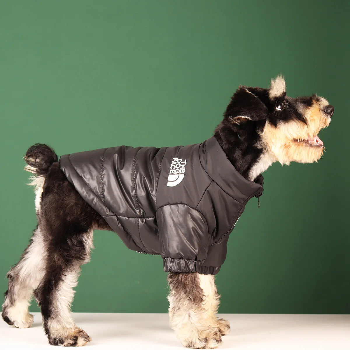 Winter Hundejacke - Warme und Winddichte Hundekleidung für kleine bis große Hunde | Reflektierende Jacke für French Bulldog, Chihuahua & Co.