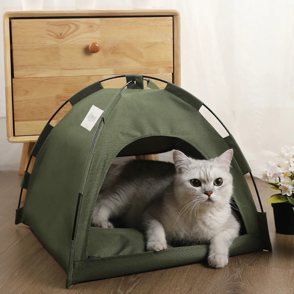 Cat tent bed