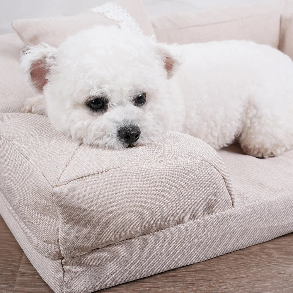 Sofastil Hundebett – Bequemes und Elegantes Hundebett für ultimativen Komfort