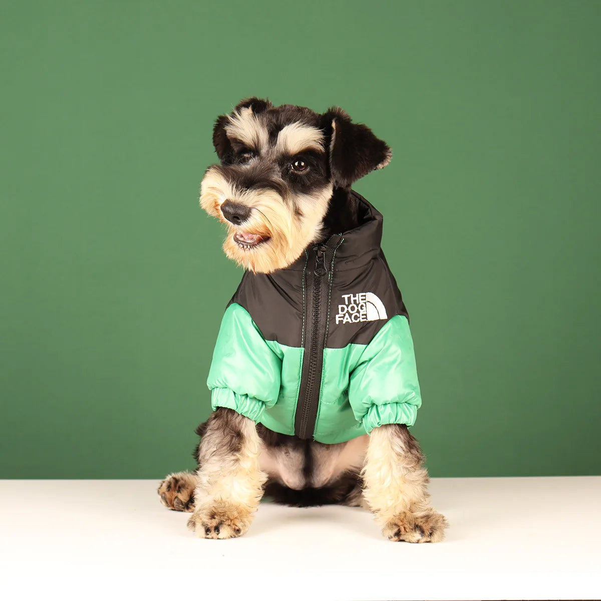 Winter Hundejacke - Warme und Winddichte Hundekleidung für kleine bis große Hunde | Reflektierende Jacke für French Bulldog, Chihuahua & Co.