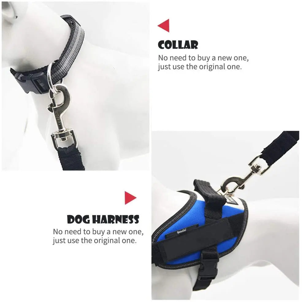 Dog and cat car seat belt