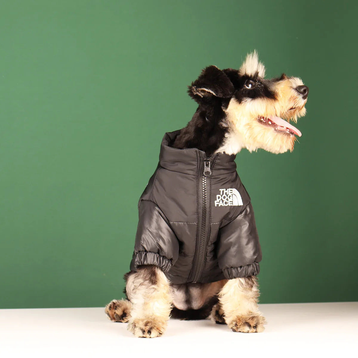 Winter Hundejacke - Warme und Winddichte Hundekleidung für kleine bis große Hunde | Reflektierende Jacke für French Bulldog, Chihuahua & Co.