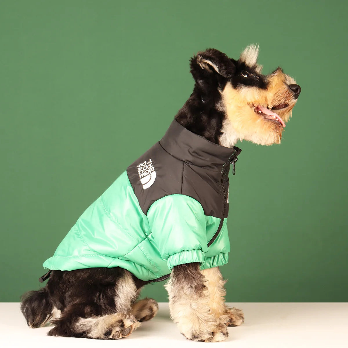 Winter Hundejacke - Warme und Winddichte Hundekleidung für kleine bis große Hunde | Reflektierende Jacke für French Bulldog, Chihuahua & Co.