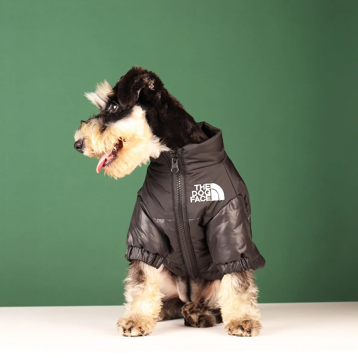 Winter Hundejacke - Warme und Winddichte Hundekleidung für kleine bis große Hunde | Reflektierende Jacke für French Bulldog, Chihuahua & Co.