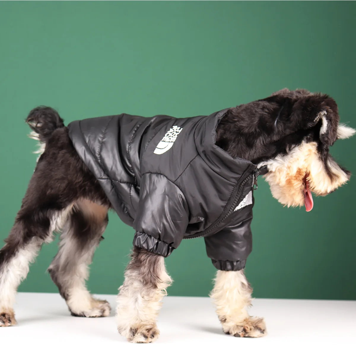 Winter Hundejacke - Warme und Winddichte Hundekleidung für kleine bis große Hunde | Reflektierende Jacke für French Bulldog, Chihuahua & Co.