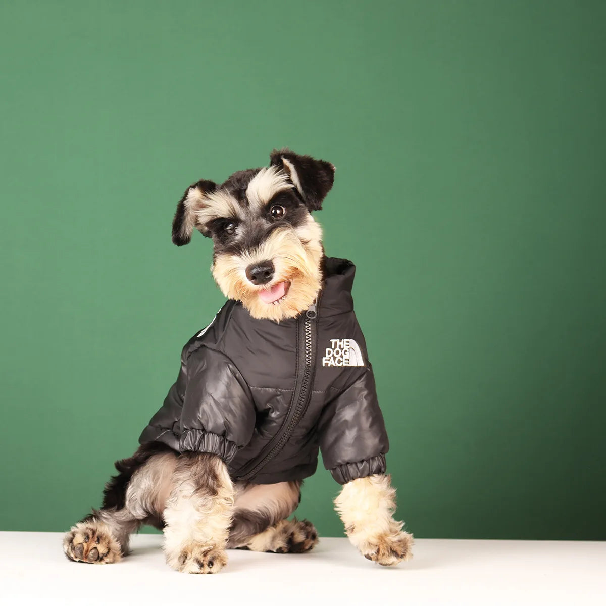 Winter Hundejacke - Warme und Winddichte Hundekleidung für kleine bis große Hunde | Reflektierende Jacke für French Bulldog, Chihuahua & Co.