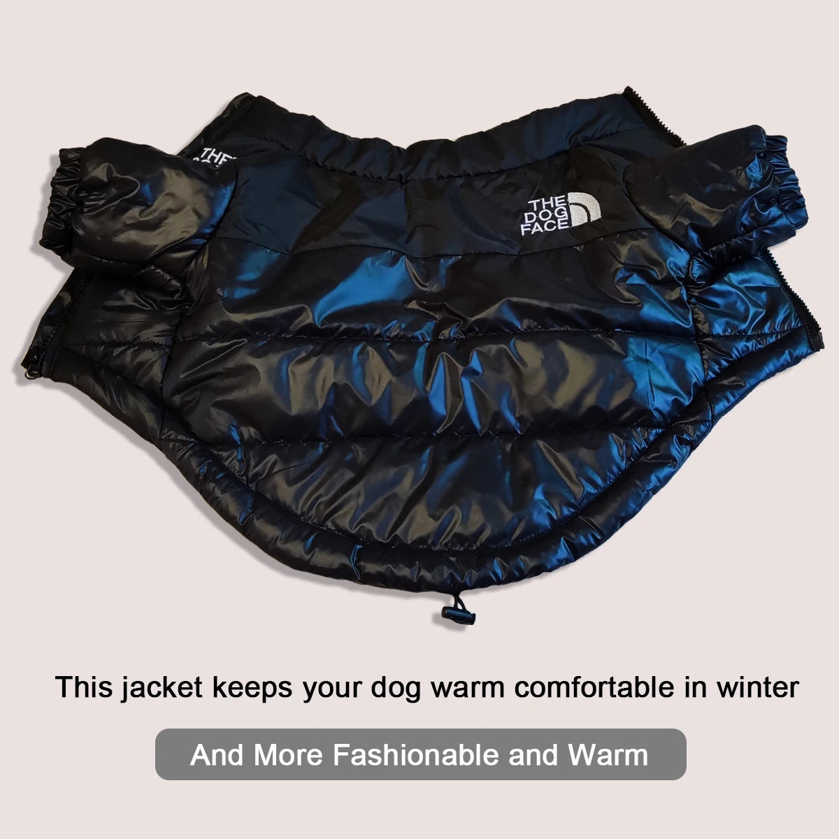 Winter Hundejacke - Warme und Winddichte Hundekleidung für kleine bis große Hunde | Reflektierende Jacke für French Bulldog, Chihuahua & Co.