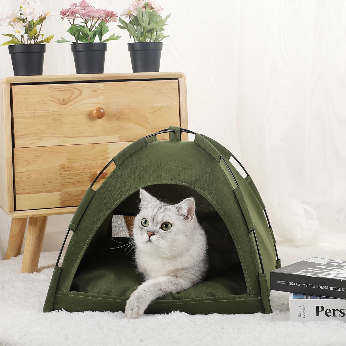 Cat tent bed