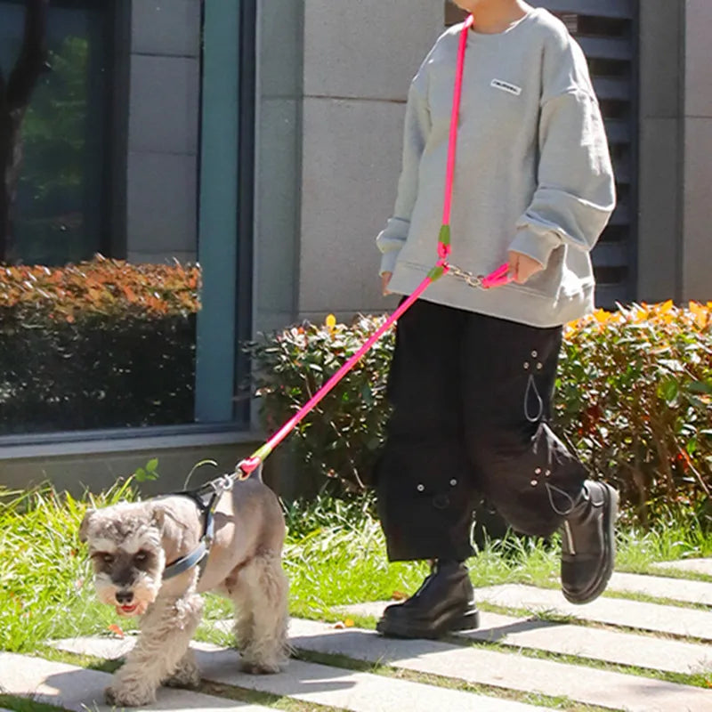 Hands-Free Doppelleine – Bequeme und Praktische Freihandleine für Hunde